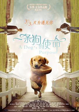 国产成人精品免费青青草原app