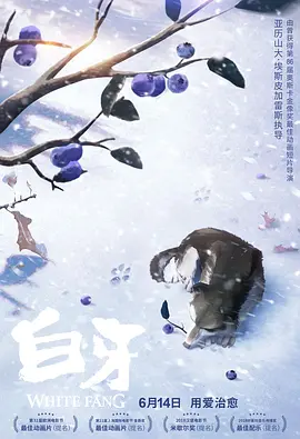 中文字幕一区二区三区亚洲精品