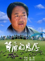 精品久久久久久综合日本