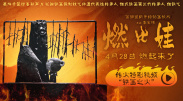 伊人久久大香线蕉