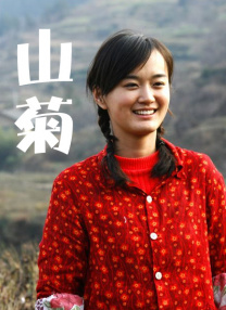 丁香花电视剧完整版视频免费观看