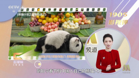 国产91无毒不卡在线观看