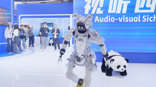 日韩毛片高清在线看